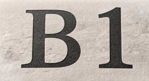 B1