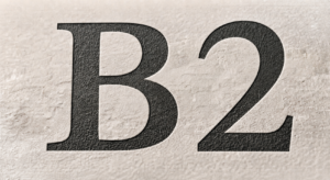 B2